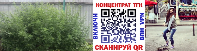 Дистиллят ТГК жижа  ОМГ ОМГ   Североуральск 