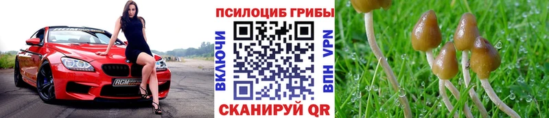 Псилоцибиновые грибы Magic Shrooms  MEGA ссылки  Североуральск 